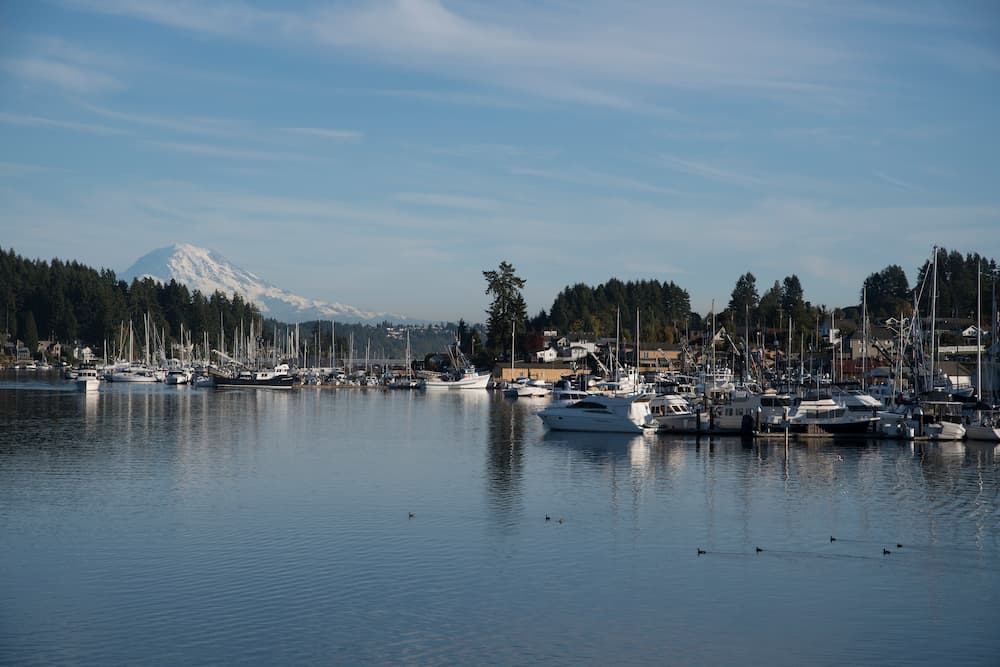 what to do when grandkids visit gig harbor